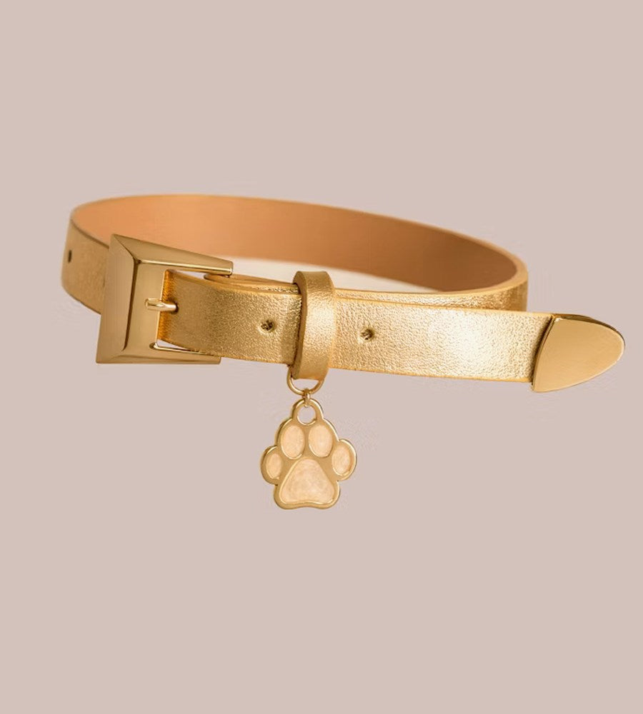 Pet Accessories
